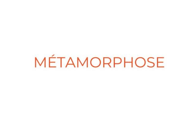 Cycle de 4 ateliers: METAMORPHOSE, un voyage à la découverte de soi .