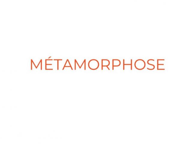 Cycle de 4 ateliers: METAMORPHOSE, un voyage à la découverte de soi .