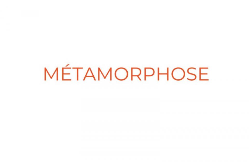 Cycle de 4 ateliers: METAMORPHOSE, un voyage à la découverte de soi .